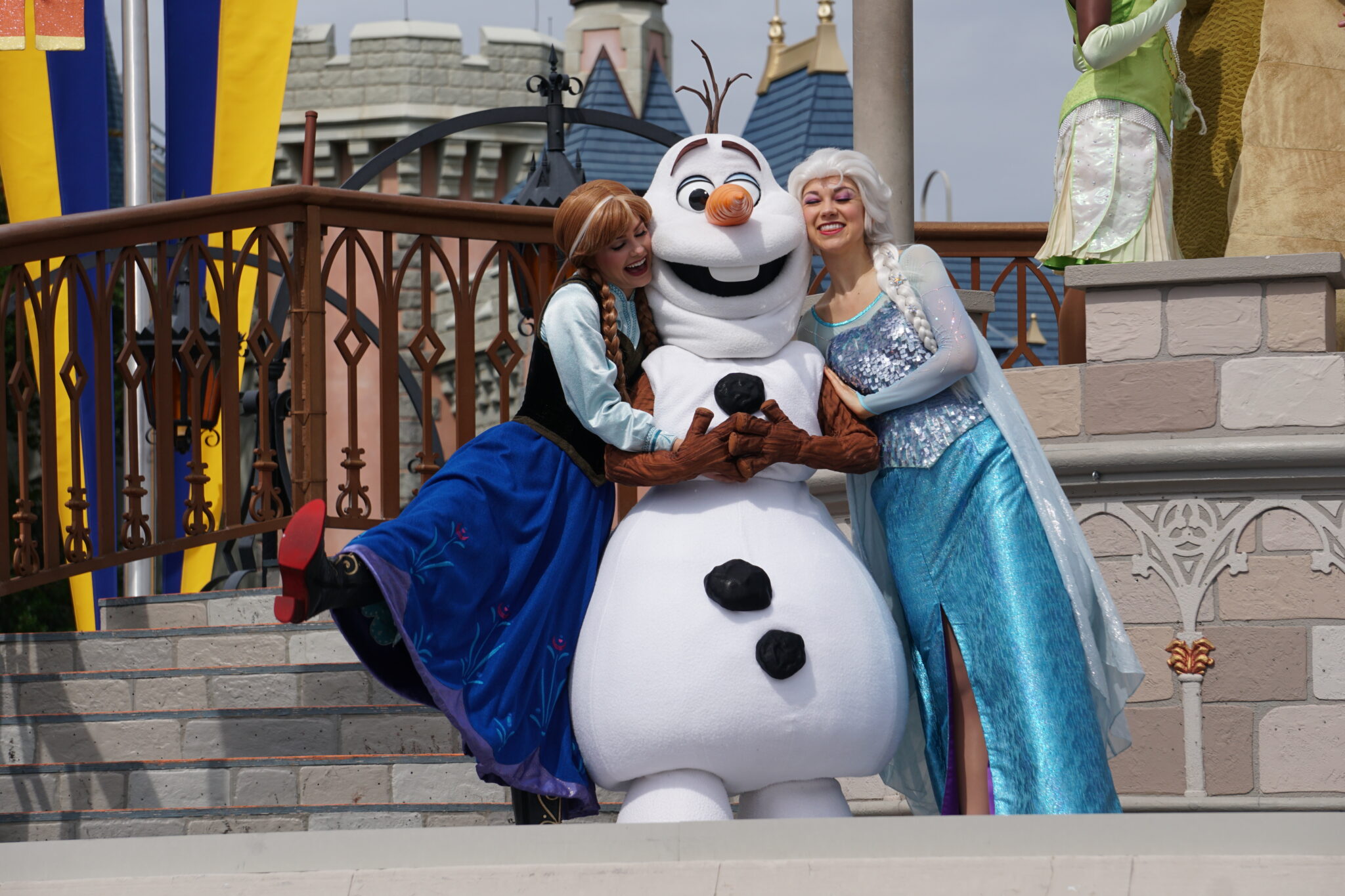 入手困難　アナと雪の女王　Fine Art ディズニー　アナ雪 入手困難 アナと雪の女王 Fine Art ディズニー アナ雪（今月の